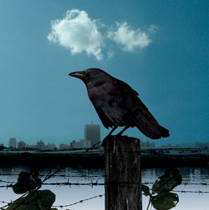kafka-cd-cover.jpg